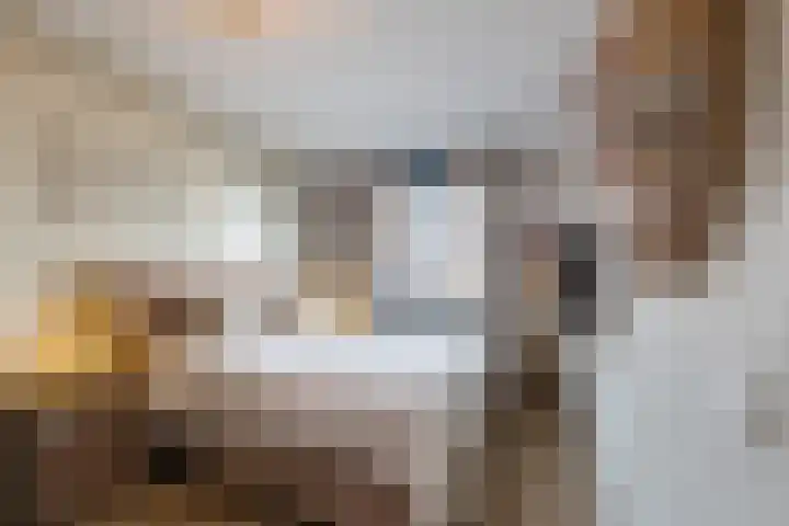 Menso Altinghof 18 Hoogeveen thumbnail 16