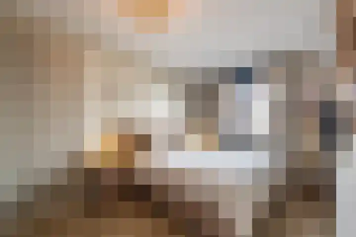 Menso Altinghof 18 Hoogeveen thumbnail 17