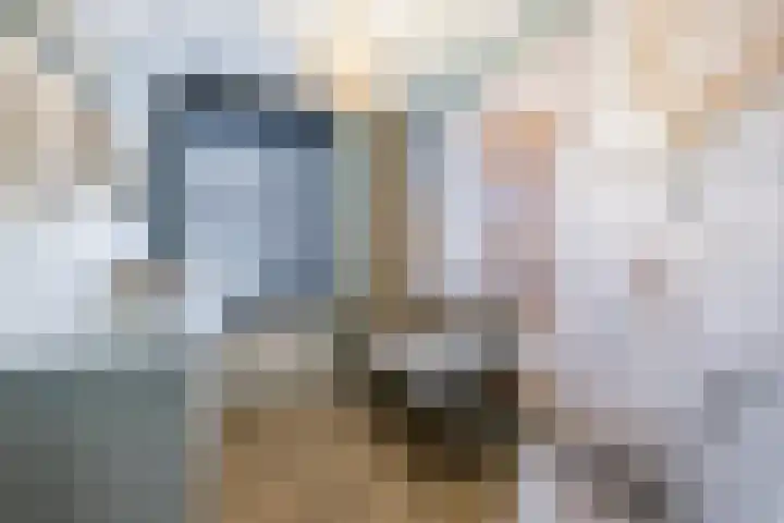 Menso Altinghof 18 Hoogeveen thumbnail 20