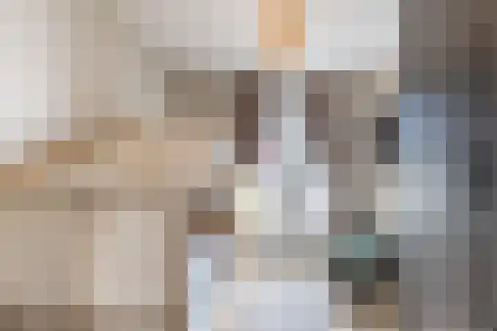 Menso Altinghof 18 Hoogeveen thumbnail 22