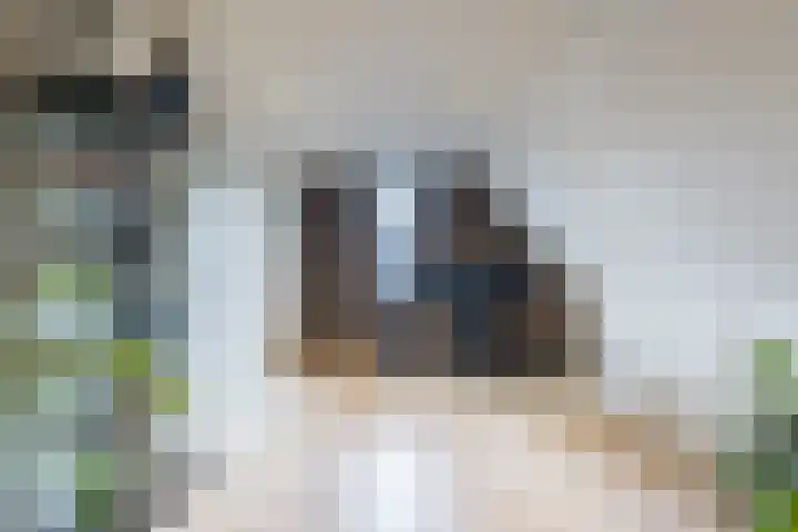 Menso Altinghof 18 Hoogeveen thumbnail 33