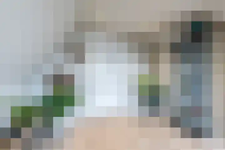 Menso Altinghof 18 Hoogeveen thumbnail 35