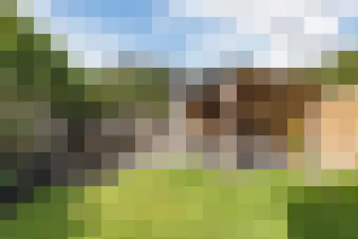 Menso Altinghof 18 Hoogeveen thumbnail 37