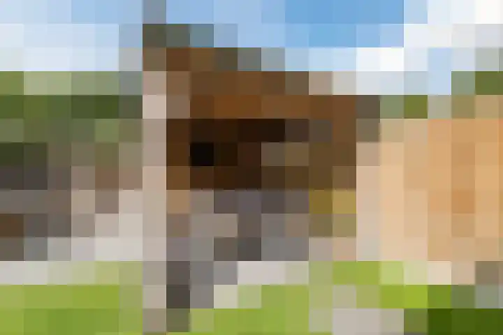 Menso Altinghof 18 Hoogeveen thumbnail 38