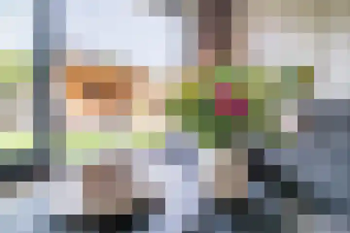 Menso Altinghof 18 Hoogeveen thumbnail 4