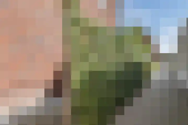 Menso Altinghof 18 Hoogeveen thumbnail 40