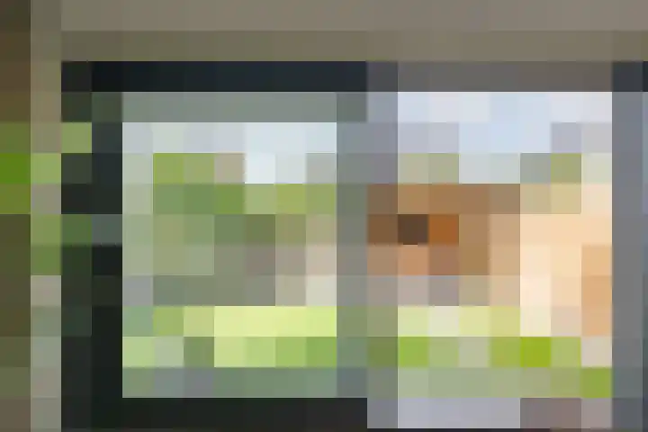 Menso Altinghof 18 Hoogeveen thumbnail 5