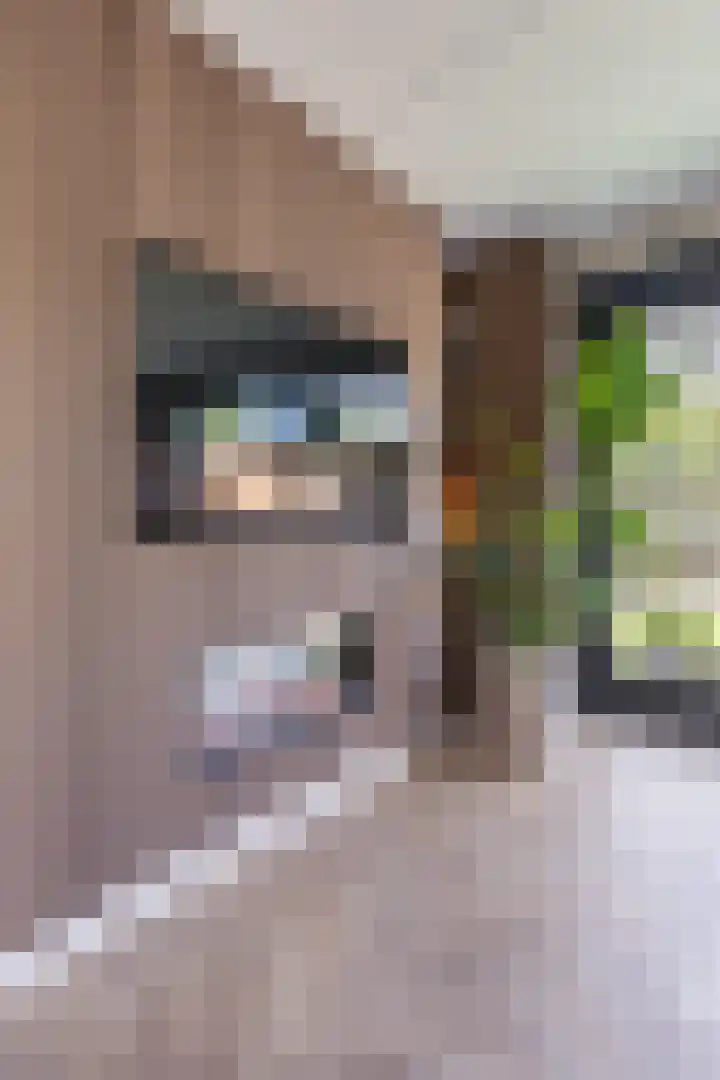 Menso Altinghof 18 Hoogeveen thumbnail 6