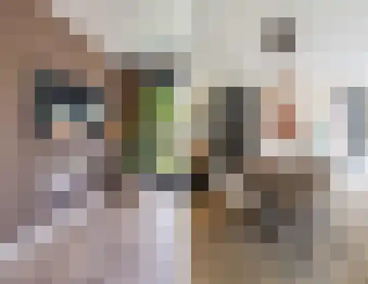 Menso Altinghof 18 Hoogeveen thumbnail 8