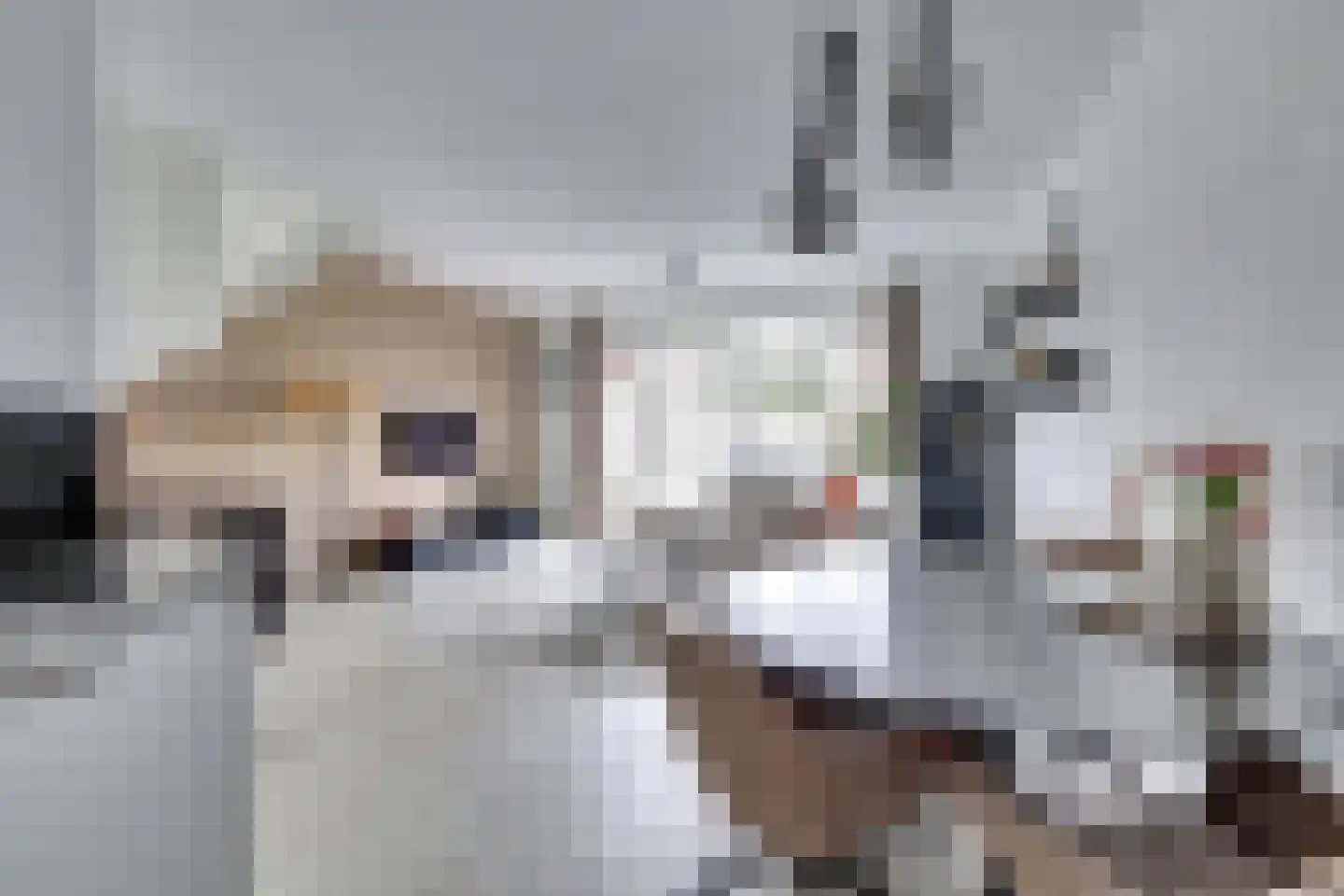 Menso Altinghof 9 Hoogeveen thumbnail 10