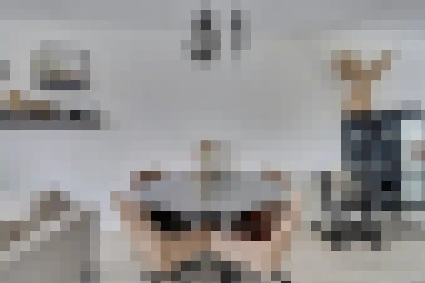 Menso Altinghof 9 Hoogeveen thumbnail 11