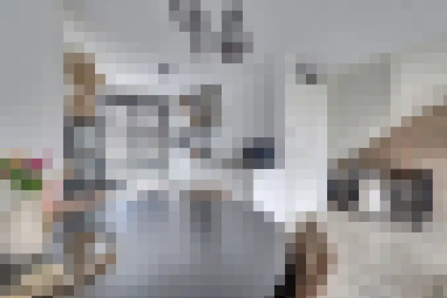 Menso Altinghof 9 Hoogeveen thumbnail 12