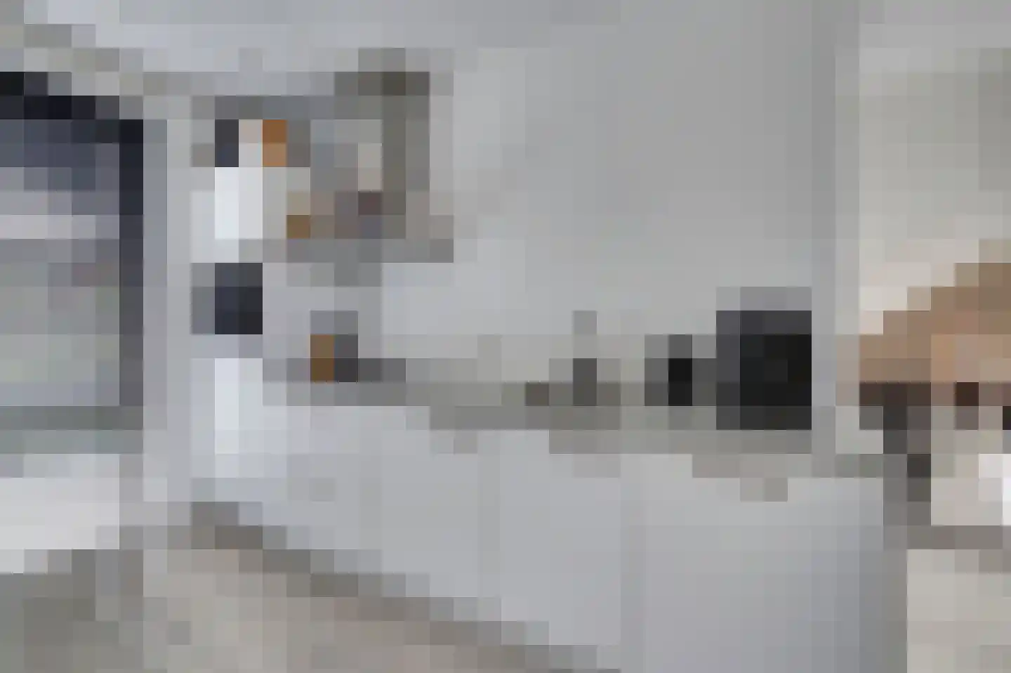Menso Altinghof 9 Hoogeveen thumbnail 14