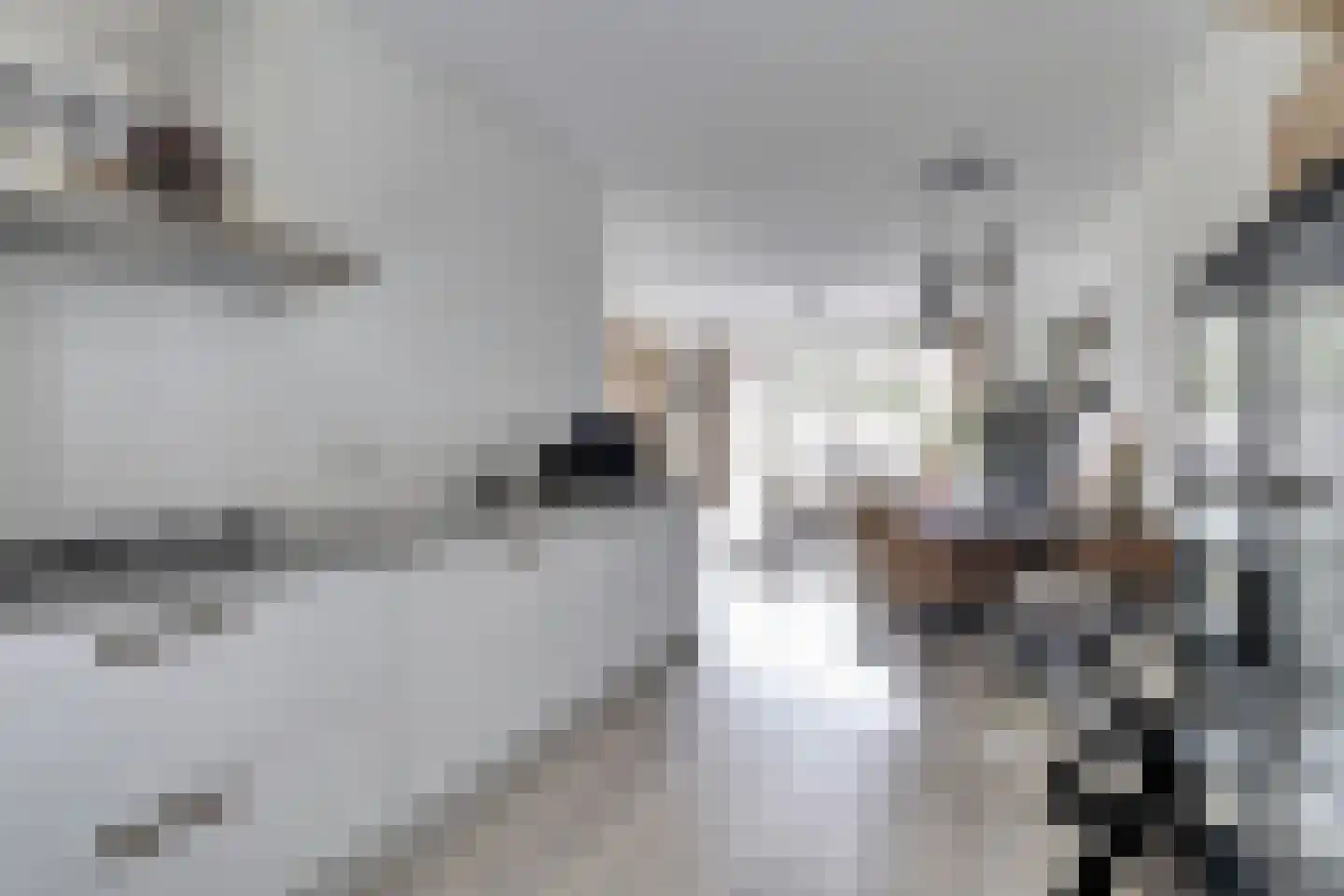 Menso Altinghof 9 Hoogeveen thumbnail 16