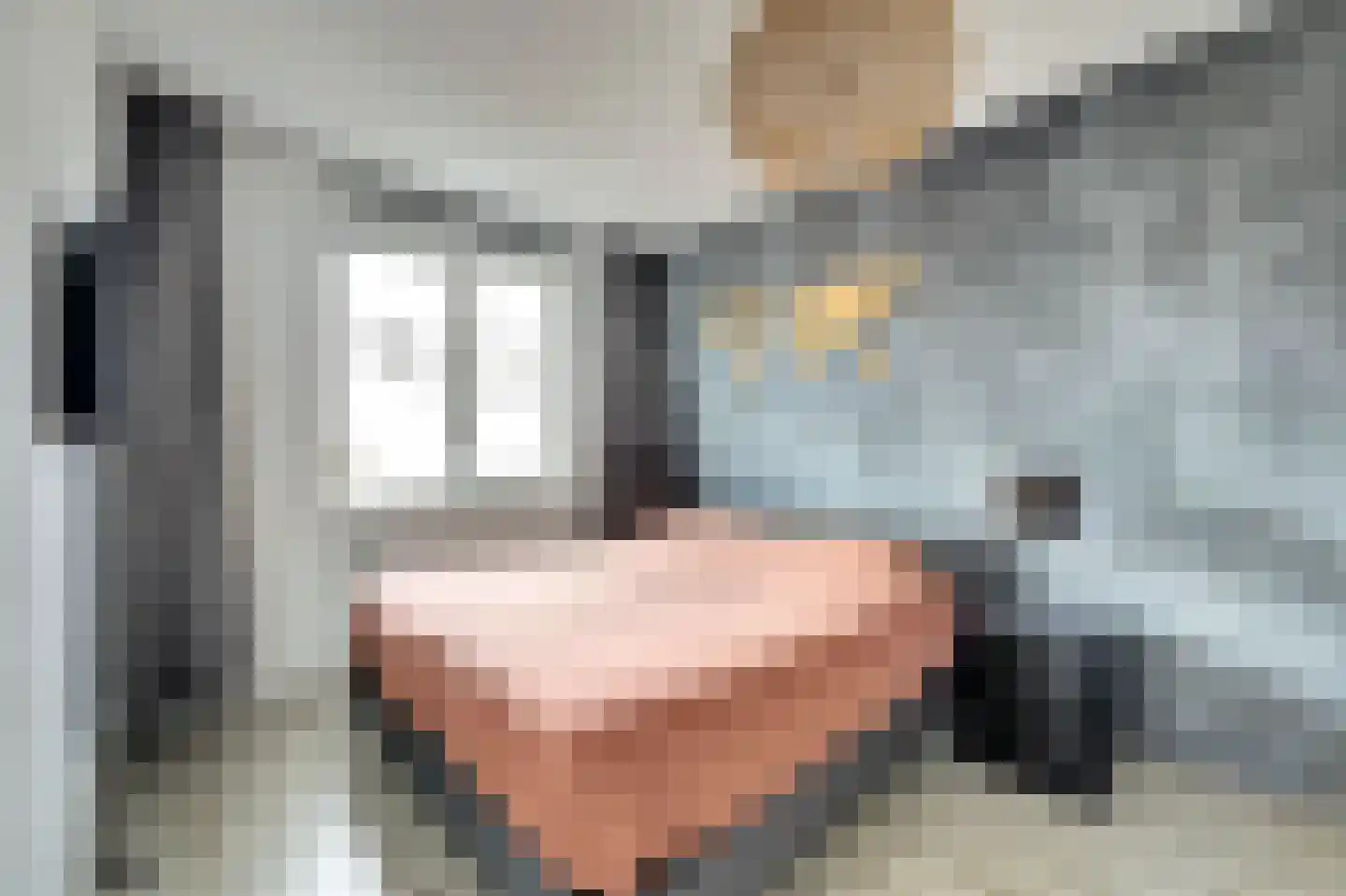 Menso Altinghof 9 Hoogeveen thumbnail 19
