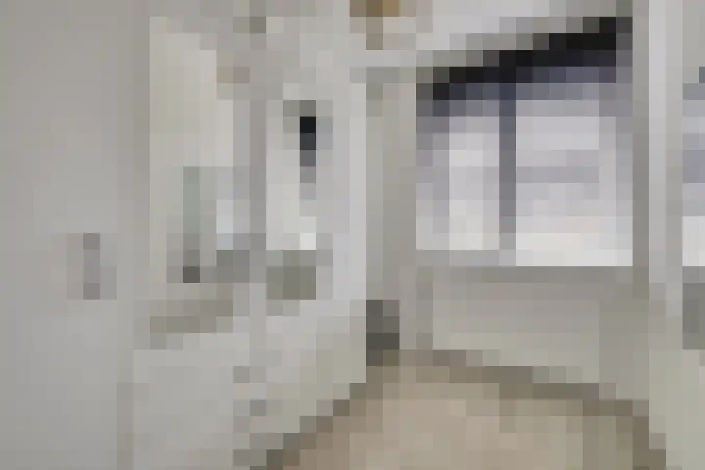 Menso Altinghof 9 Hoogeveen thumbnail 25