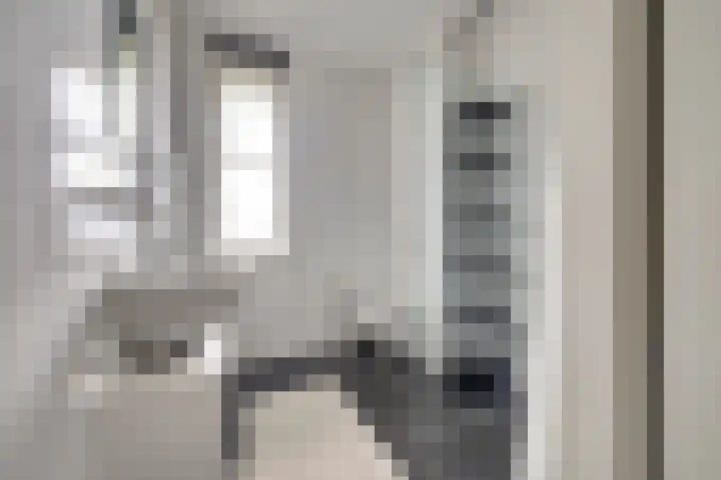 Menso Altinghof 9 Hoogeveen thumbnail 27