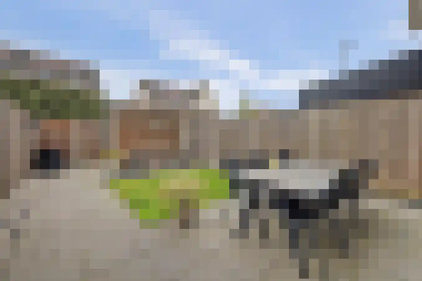 Menso Altinghof 9 Hoogeveen thumbnail 34