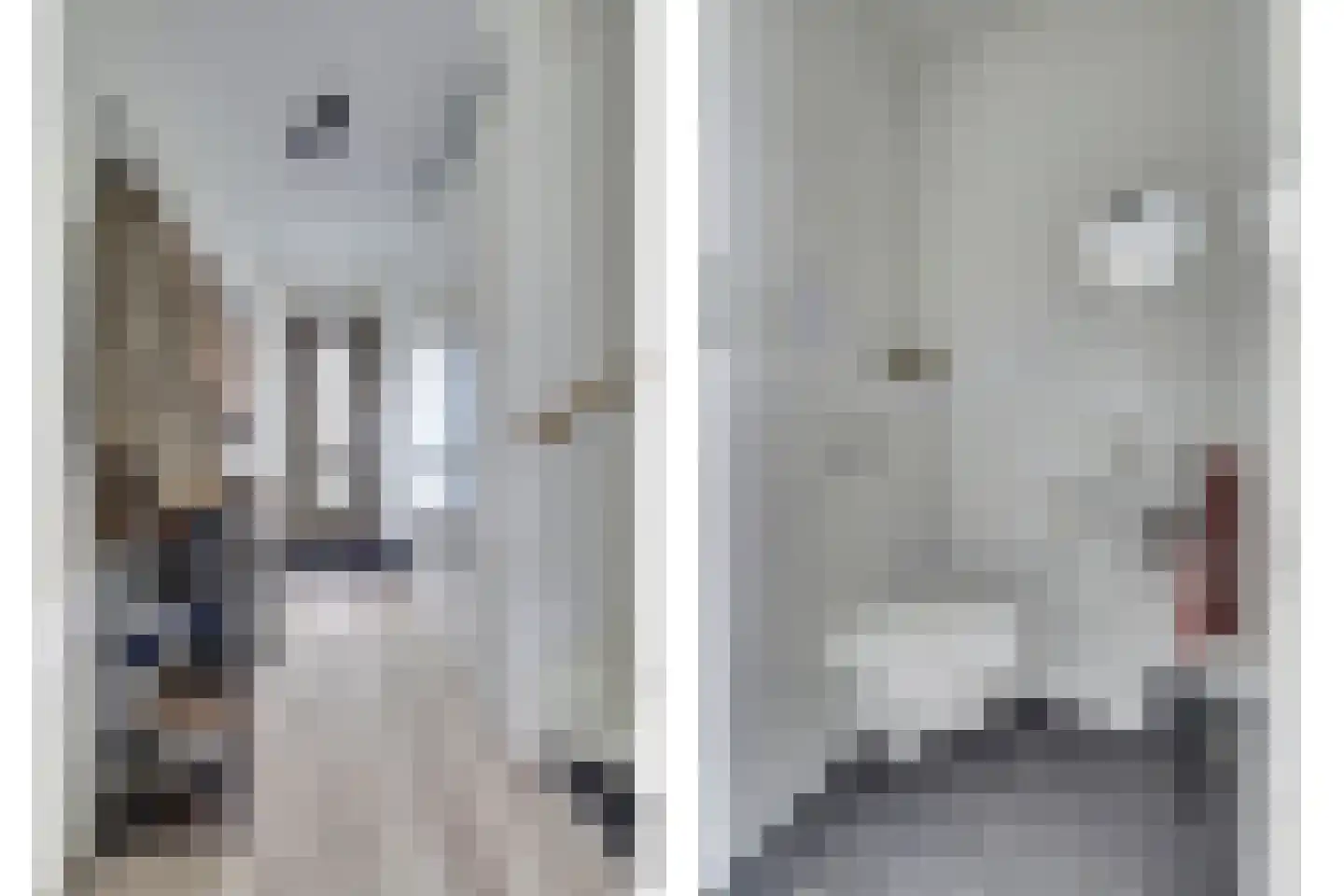 Menso Altinghof 9 Hoogeveen thumbnail 6