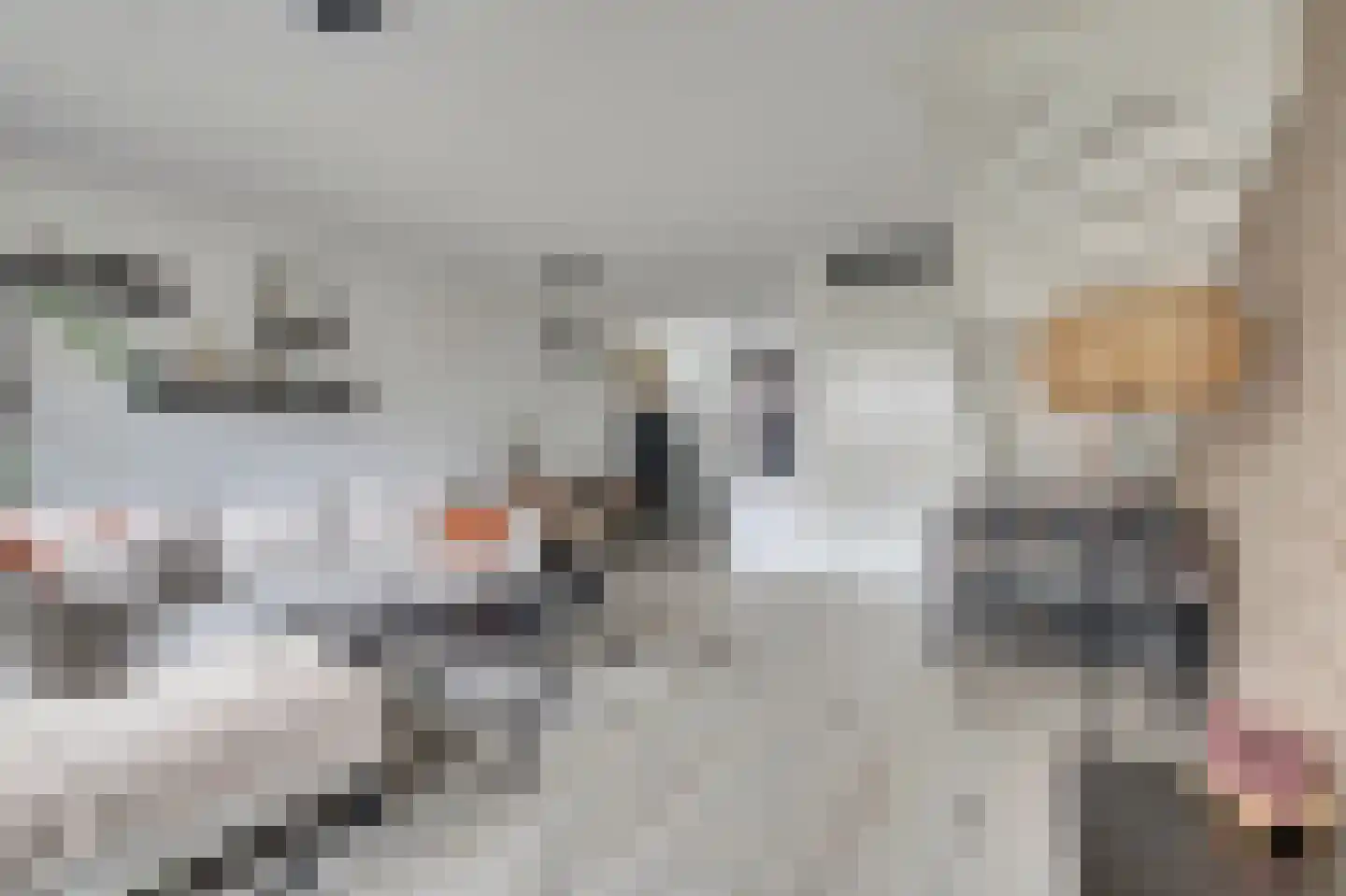Menso Altinghof 9 Hoogeveen thumbnail 8