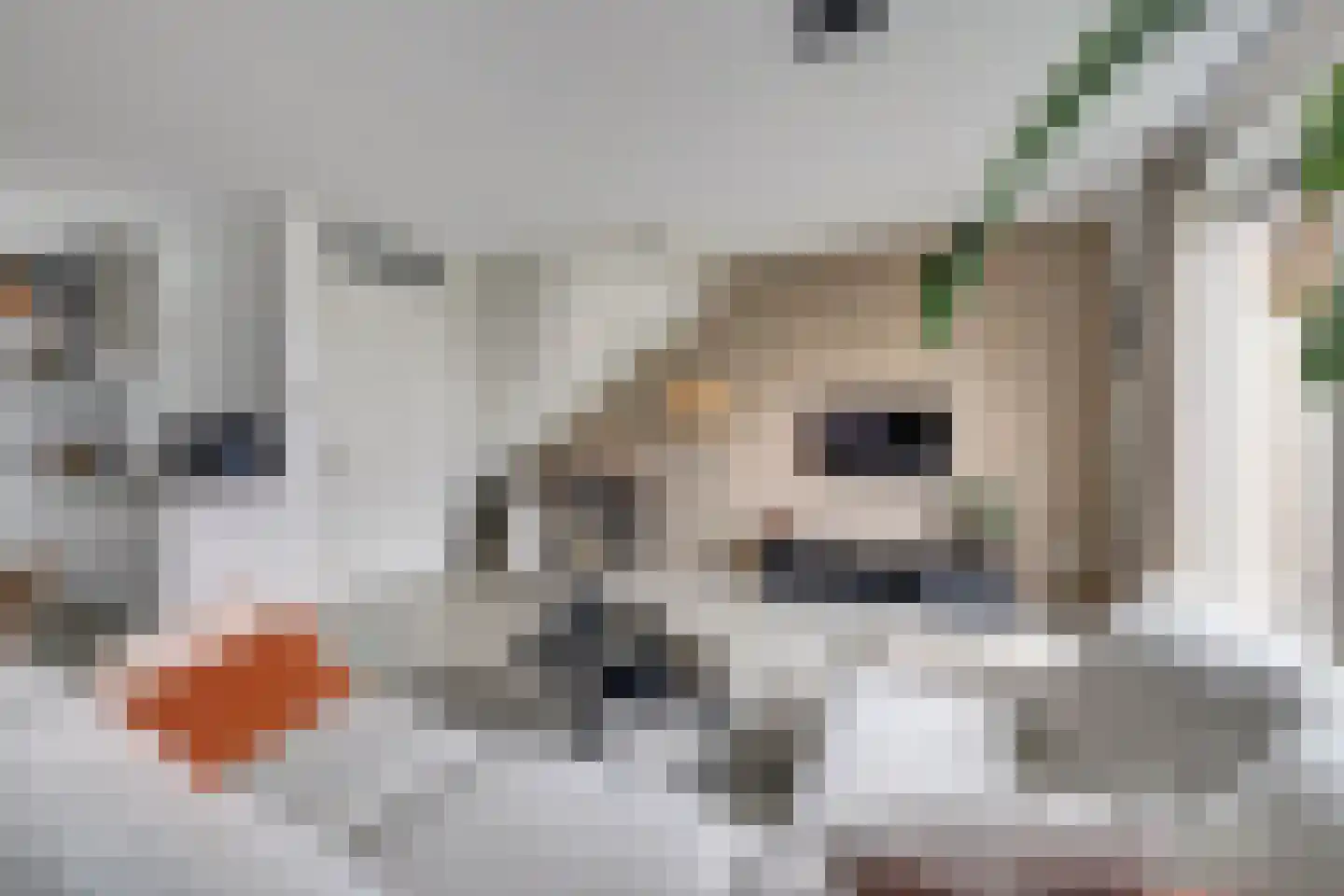 Menso Altinghof 9 Hoogeveen thumbnail 9