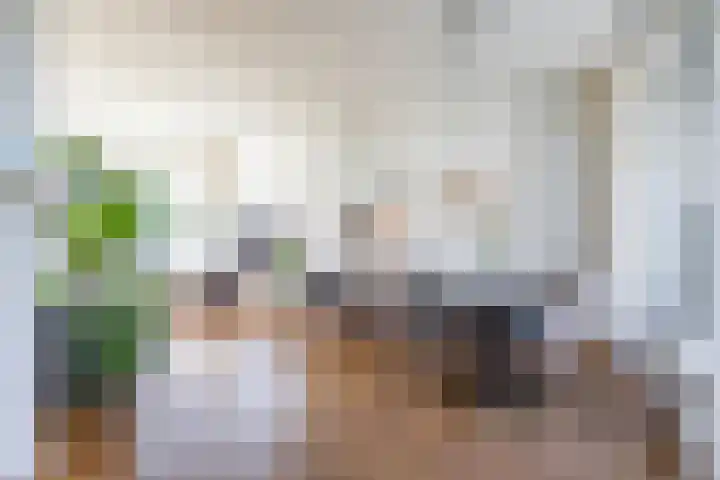 Menso Altingweg 10 Paterswolde thumbnail 12