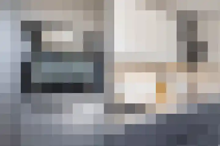 Menso Altingweg 10 Paterswolde thumbnail 16