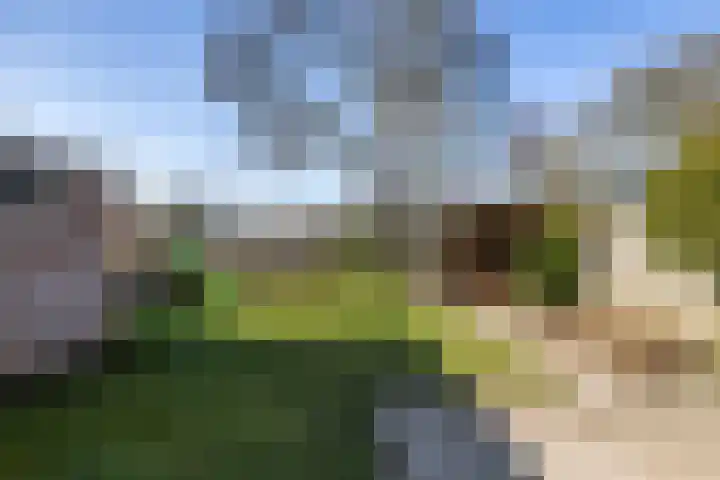 Menso Altingweg 10 Paterswolde thumbnail 35
