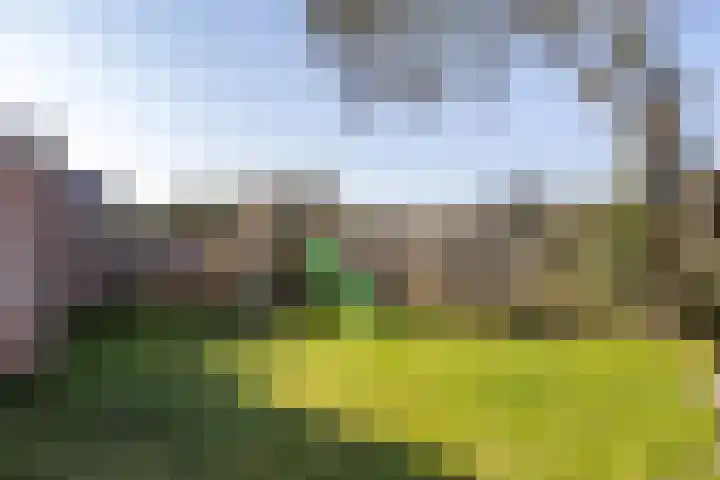 Menso Altingweg 10 Paterswolde thumbnail 36