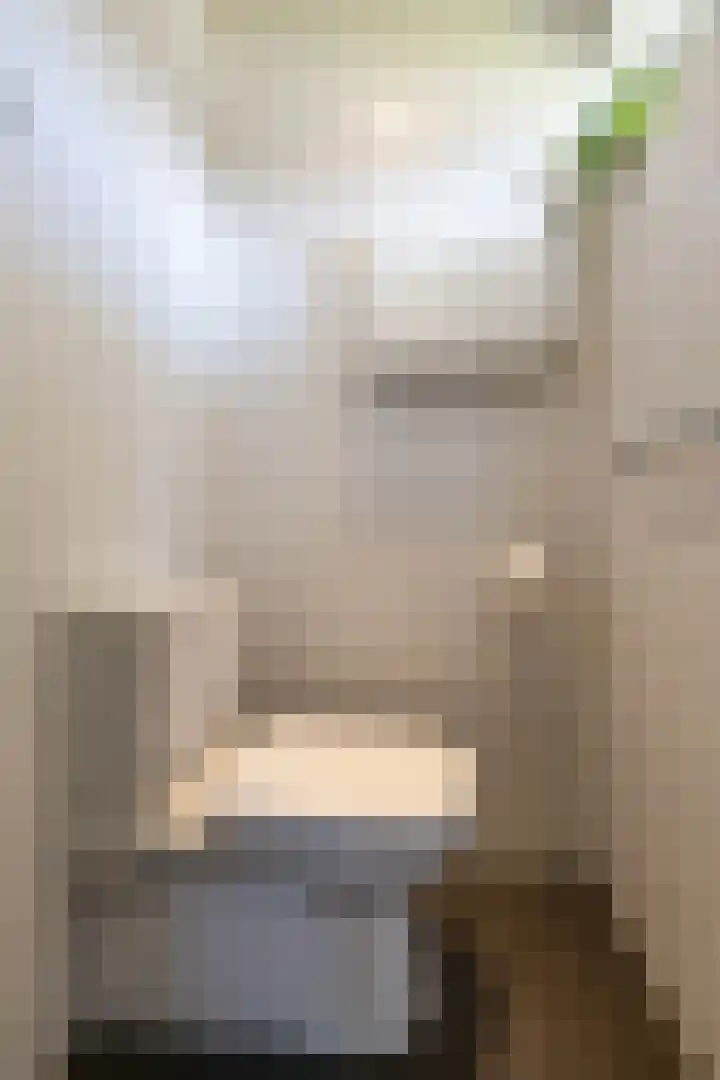 Menso Altingweg 10 Paterswolde thumbnail 8