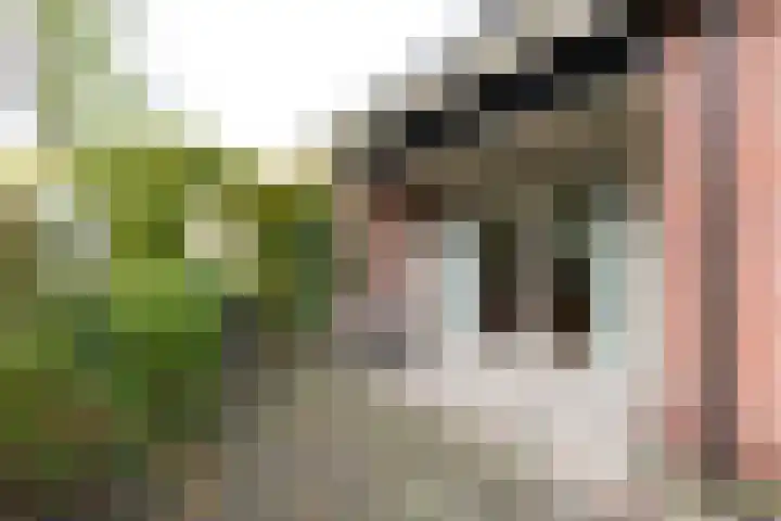 Menso Fockemalaan 1 Niekerk thumbnail 14