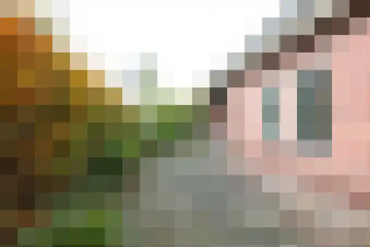 Menso Fockemalaan 1 Niekerk thumbnail 15