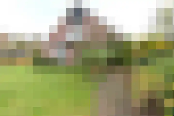 Menso Fockemalaan 1 Niekerk foto 2