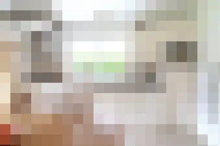 Menso Fockemalaan 1 Niekerk thumbnail 20