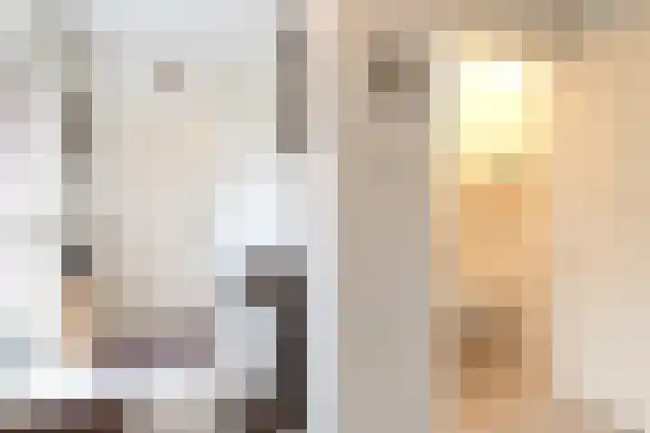 Menso Fockemalaan 1 Niekerk thumbnail 24