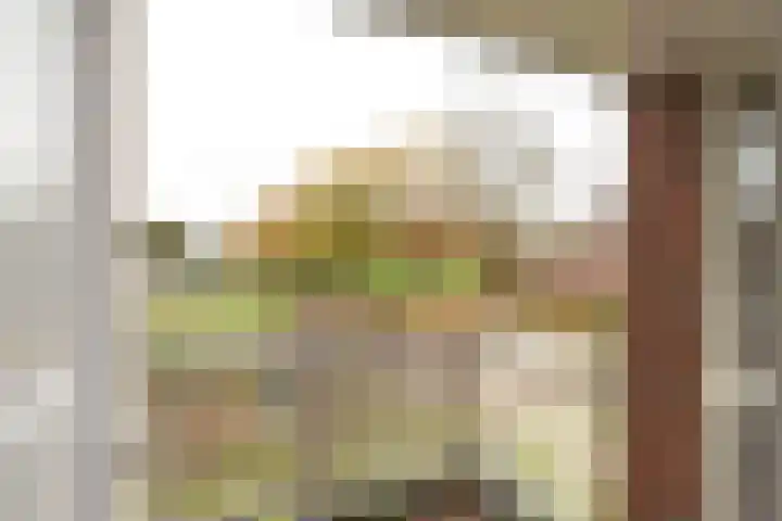 Menso Fockemalaan 1 Niekerk thumbnail 29
