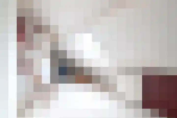 Menso Fockemalaan 1 Niekerk thumbnail 30