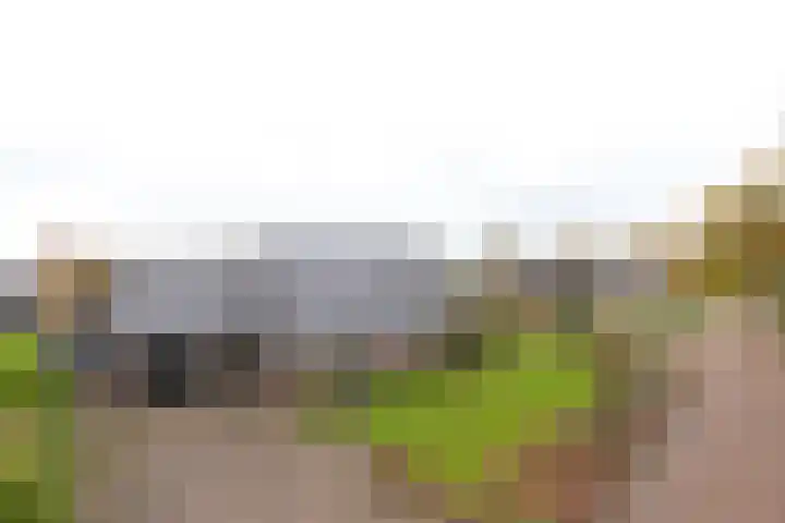 Menso Fockemalaan 1 Niekerk thumbnail 34