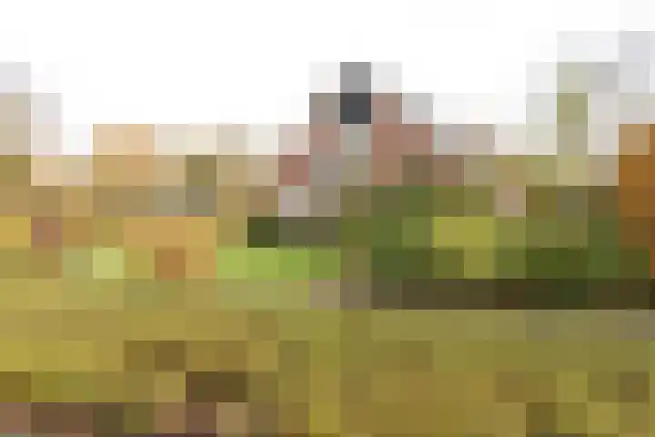 Menso Fockemalaan 1 Niekerk thumbnail 35