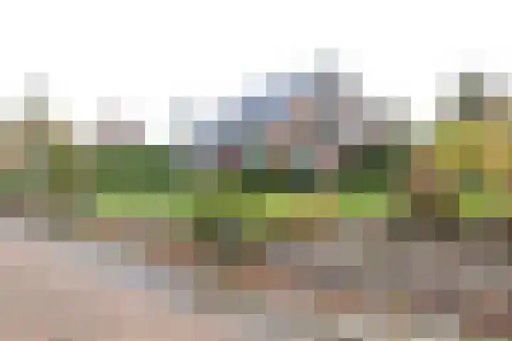 Menso Fockemalaan 1 Niekerk thumbnail 36