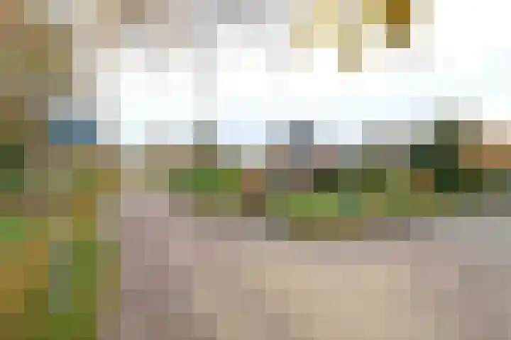 Menso Fockemalaan 1 Niekerk thumbnail 37