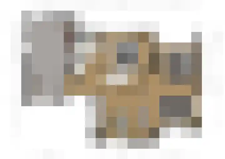 Menso Fockemalaan 1 Niekerk thumbnail 38