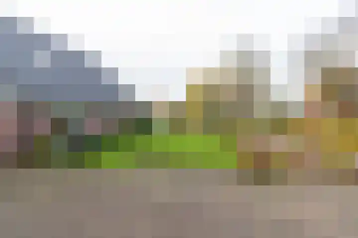 Menso Fockemalaan 1 Niekerk thumbnail 4