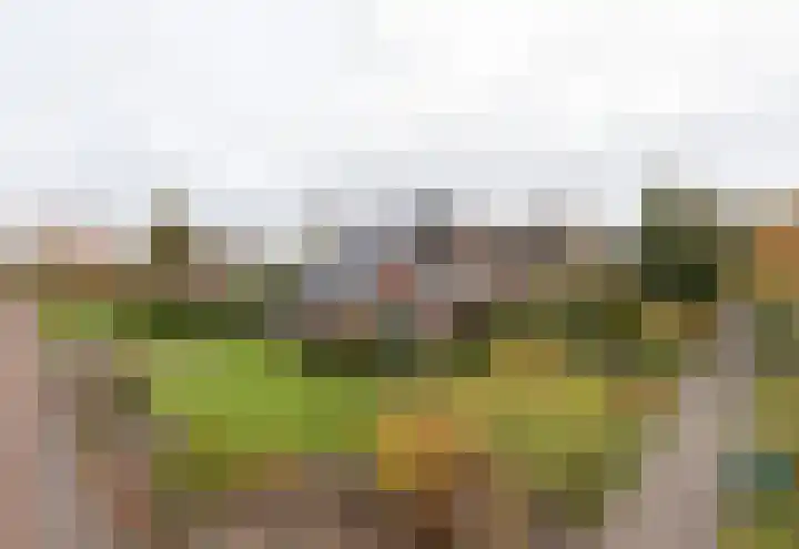 Menso Fockemalaan 1 Niekerk thumbnail 6