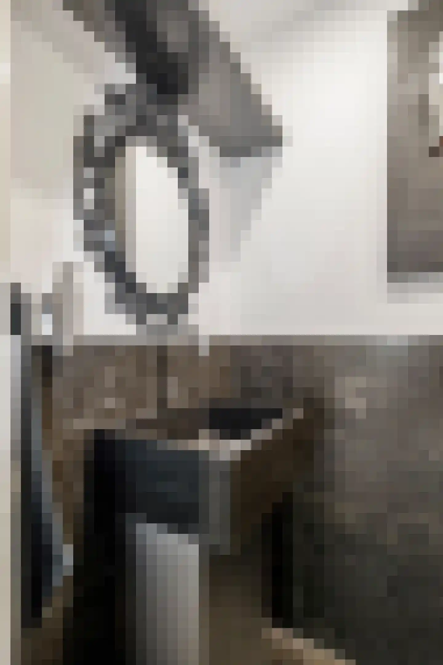 Menso Kamerlingh Onneslaan 34 Oegstgeest thumbnail 10