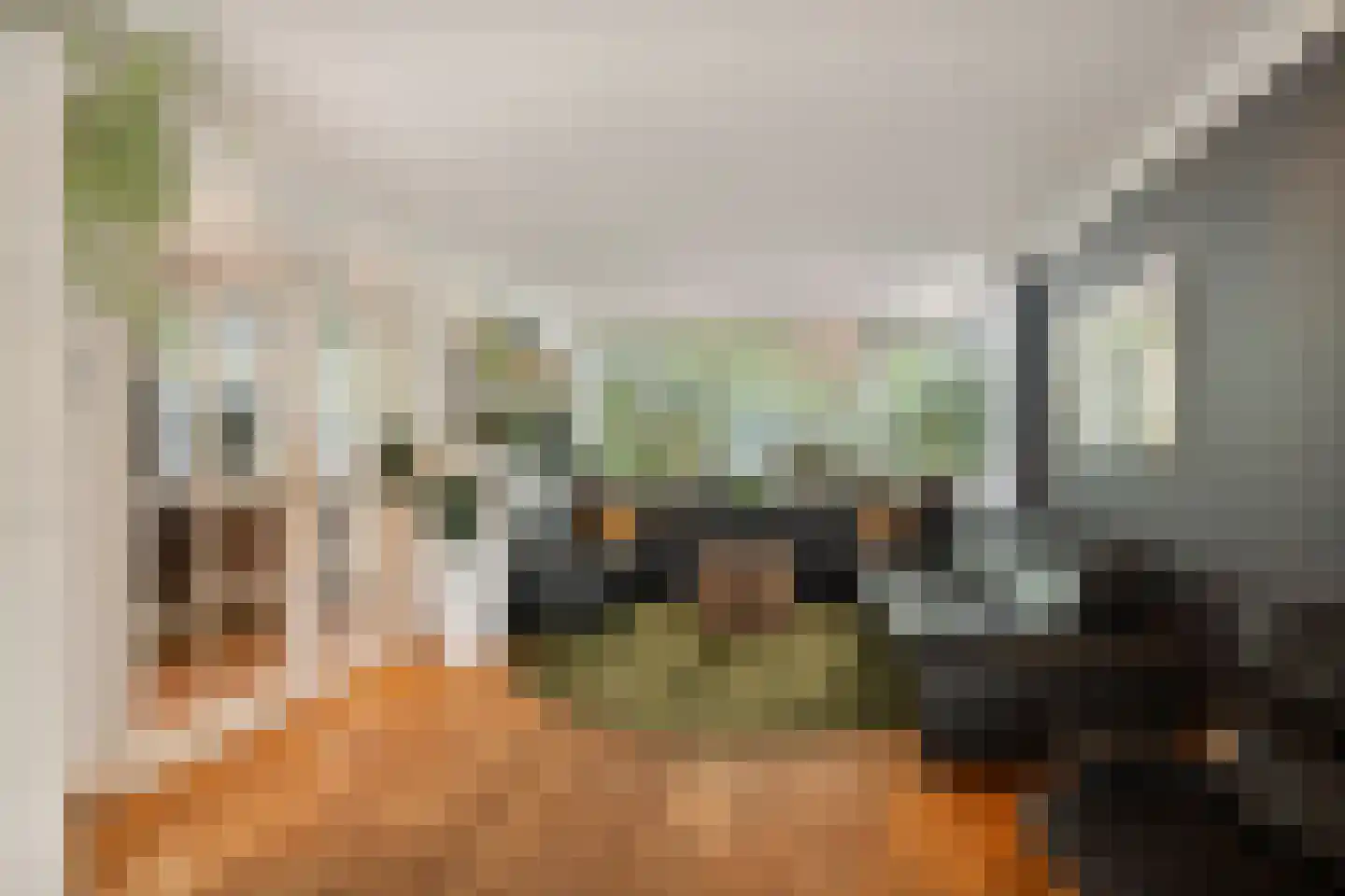 Menso Kamerlingh Onneslaan 34 Oegstgeest thumbnail 14