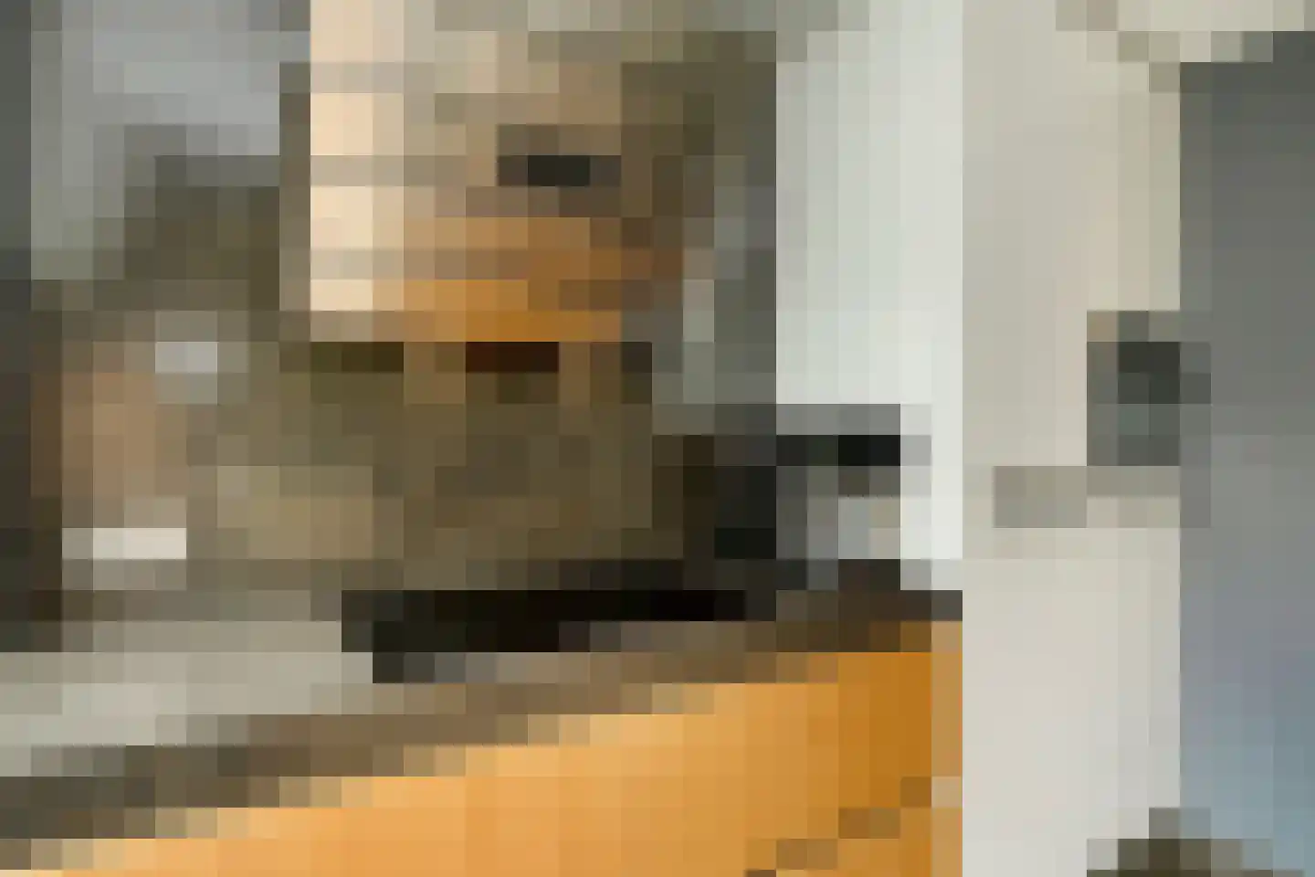 Menso Kamerlingh Onneslaan 34 Oegstgeest thumbnail 23