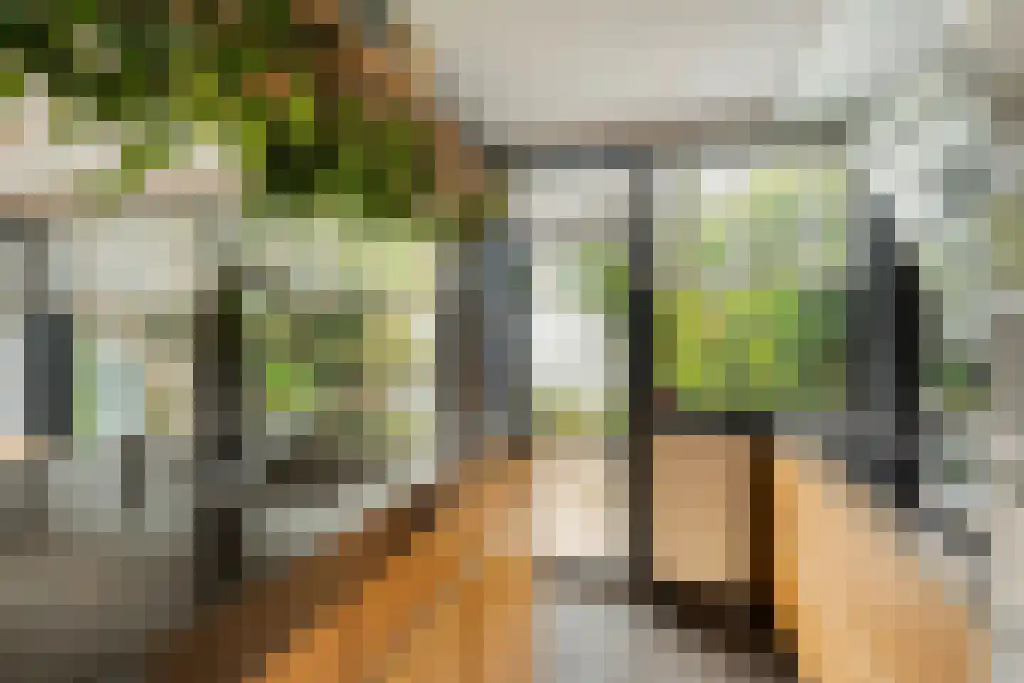 Menso Kamerlingh Onneslaan 34 Oegstgeest thumbnail 25