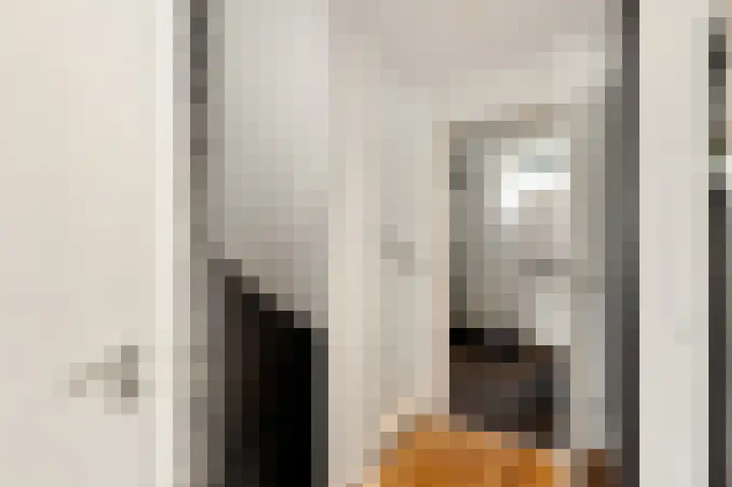 Menso Kamerlingh Onneslaan 34 Oegstgeest thumbnail 29