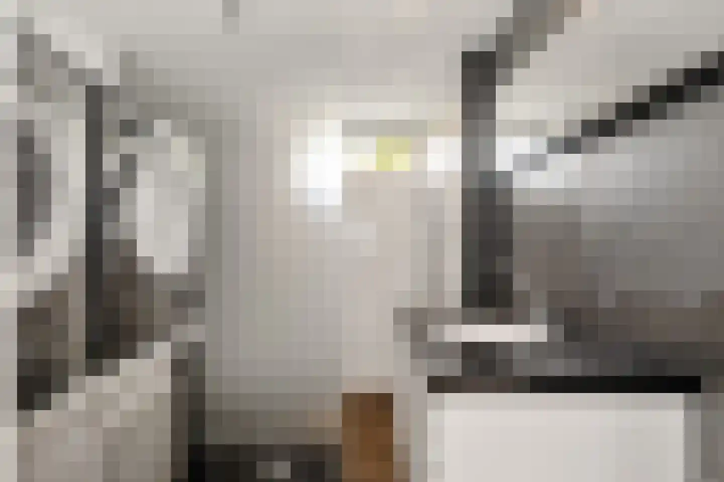 Menso Kamerlingh Onneslaan 34 Oegstgeest thumbnail 30